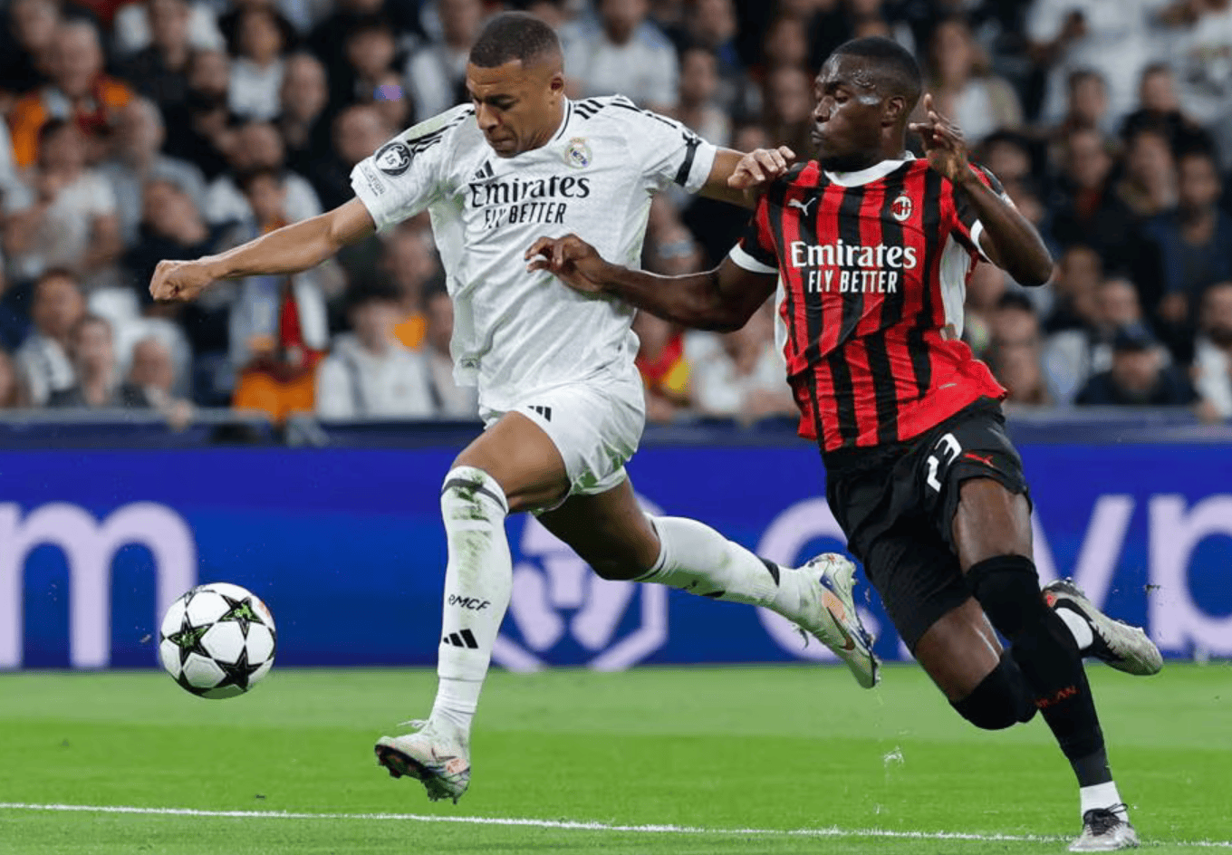 球迷和业内 球迷和业内